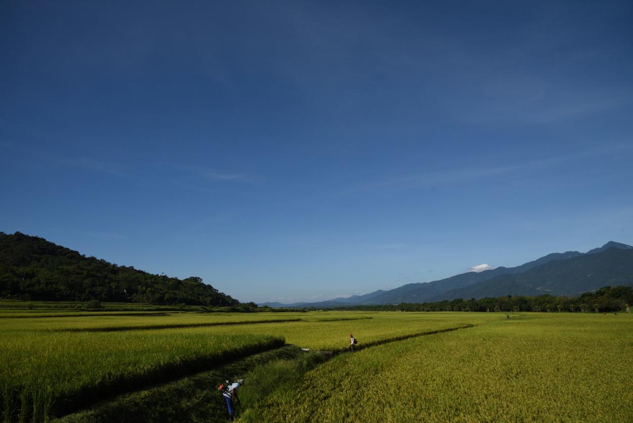 Lost And Find Homestay กวนซาน ภายนอก รูปภาพ